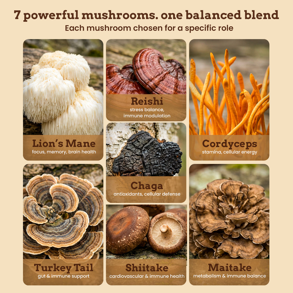 iFungi™ Life Force 7  (Premium 12:1 Mushroom Extract Blend)