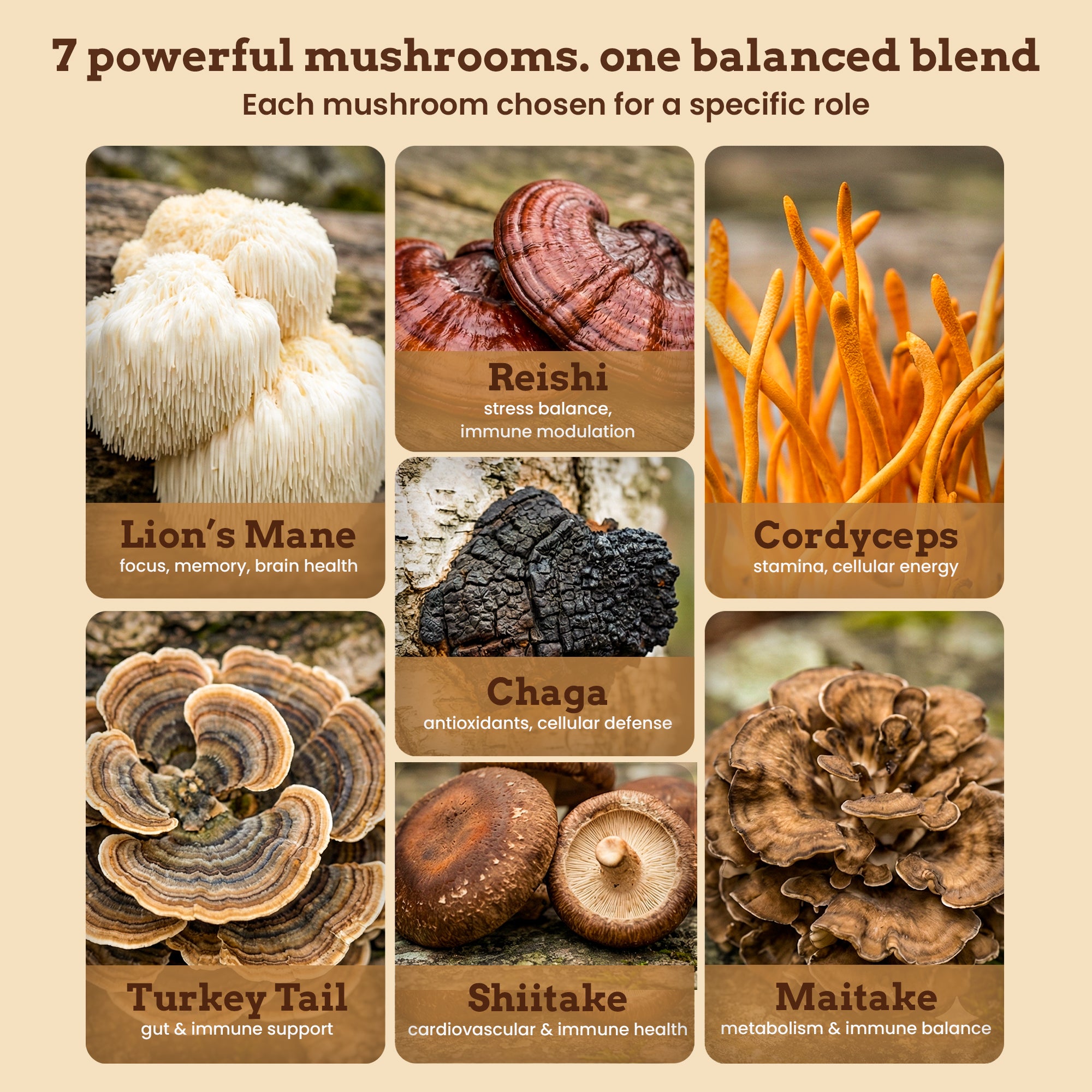 iFungi™ Life Force 7  (Premium 12:1 Mushroom Extract Blend)