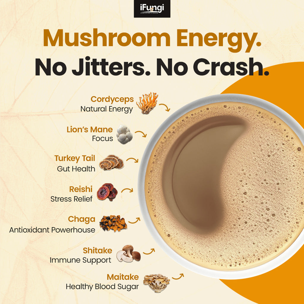 iFungi™ Life Force 7  (Premium 12:1 Mushroom Extract Blend)